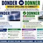 Donder or Donner: Which Spelling Is Correct?